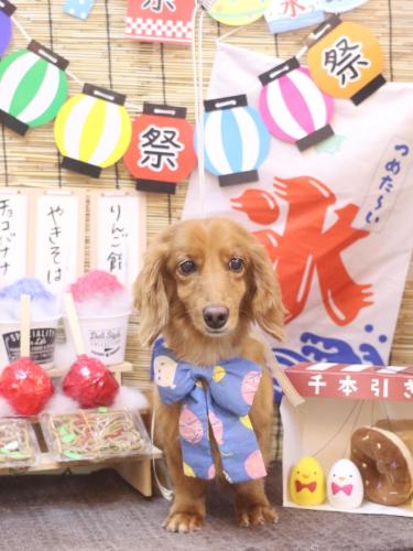 20240728しろくん